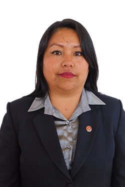 Ing. Sindy Cayo Merma