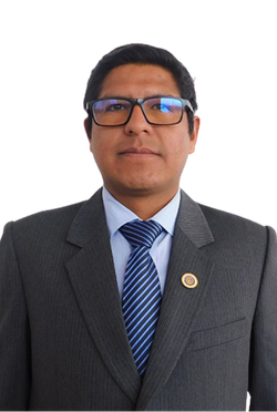 Ing. Mario Cutipa Ortega