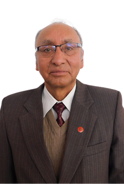 Ing. Leandro Cuno Hancco