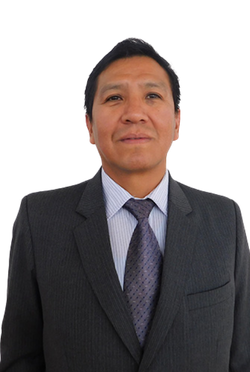 Ing. Alcides Flores Mariño