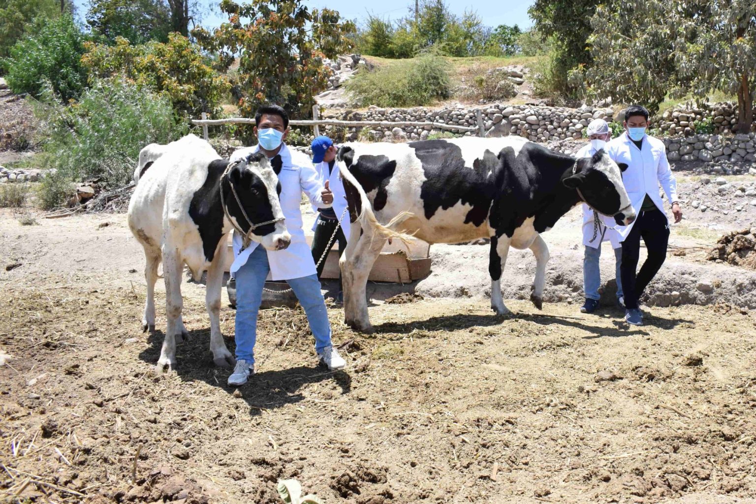 Producción Agropecaria